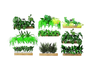 现代盆栽植物 绿植3D模型
